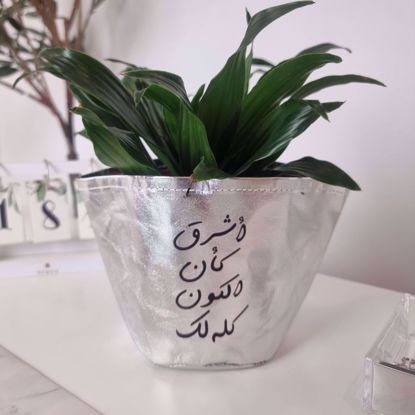 Picture of  Silver plant Pot