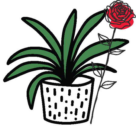 Picture for category plant / flower